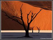 Landscapes